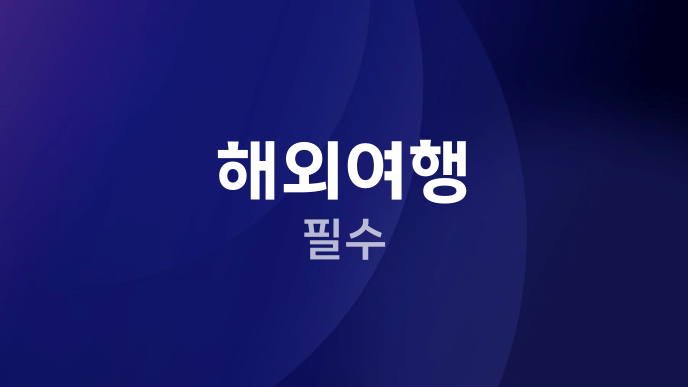해외여행 필수