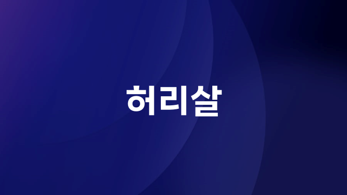허리살