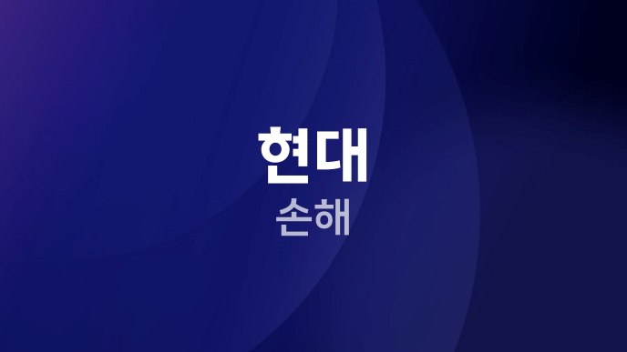 현대 손해