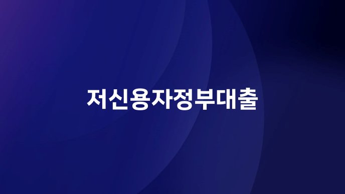 저신용자정부대출