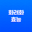화려화 가격, 효능, 성분, 부작용, 후기 2024년 21