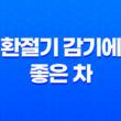 5가지 환절기 감기에 좋은 차 15