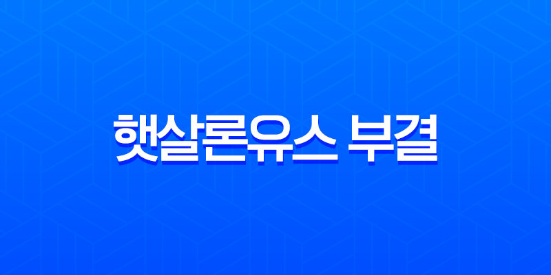 햇살론유스 부결 재도전 완벽 가이드 2025년 승인률 높이는 비법 총정리 8 햇살론유스 부결 재도전 완벽 가이드 2025년 승인률 높이는 비법 총정리 7
