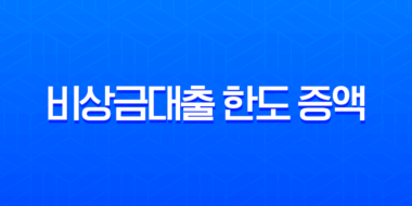 비상금대출 한도 증액 현실적인 방법과 은행별 가능 여부 총정리 11