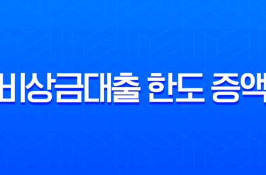 비상금대출 한도 증액 현실적인 방법과 은행별 가능 여부 총정리 8 비상금대출 한도 증액 현실적인 방법과 은행별 가능 여부 총정리 7