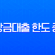 비상금대출 한도 증액 현실적인 방법과 은행별 가능 여부 총정리 11
