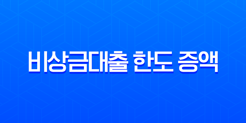 비상금대출 한도 증액 현실적인 방법과 은행별 가능 여부 총정리 8 비상금대출 한도 증액 현실적인 방법과 은행별 가능 여부 총정리 7