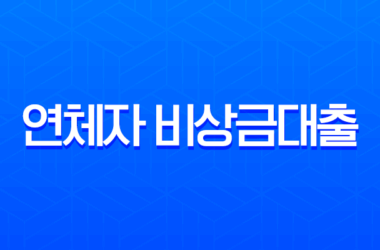 연체자 비상금대출 승인불가 현실적인 이유와 대안 완벽정리 28 연체자 비상금대출 승인불가 현실적인 이유와 대안 완벽정리 27