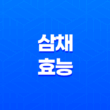 삼채 효능 및 부작용(+ 건강에 도움이 되는 다재다능한 채소) 15