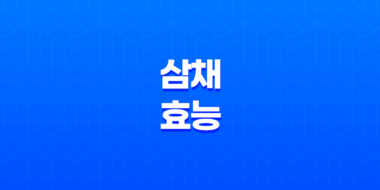 삼채 효능 및 부작용(+ 건강에 도움이 되는 다재다능한 채소) 37