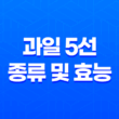 여름철 활력 넘치는 과일 5선 및 그 효능 37