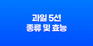 여름철 활력 넘치는 과일 5선 및 그 효능 49
