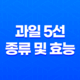 여름철 활력 넘치는 과일 5선 및 그 효능 37