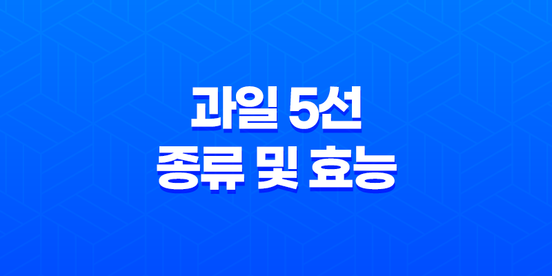 여름철 활력 넘치는 과일 5선 및 그 효능 8 여름철 활력 넘치는 과일 5선 및 그 효능 7