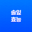 솔잎 효능과 활용법 27