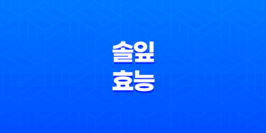 솔잎 효능과 활용법 57