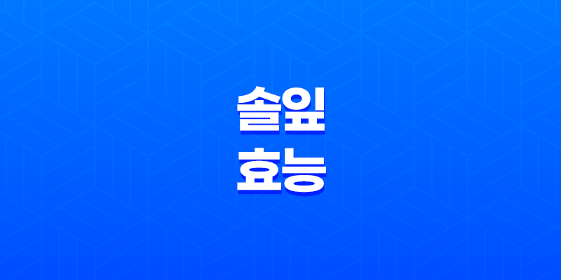 솔잎 효능과 활용법 7