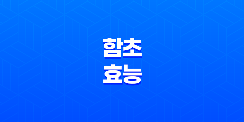 함초 효능 및 먹는 방법 8 함초 효능 및 먹는 방법 7