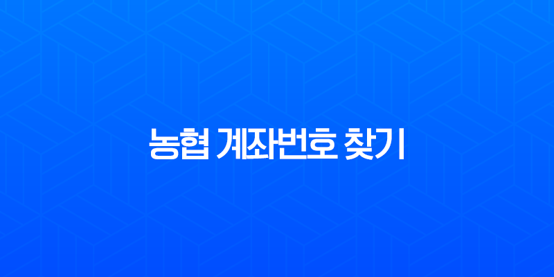 농협 계좌번호 찾기, 앱으로 1분 안에 확인하는 초간단 방법 7