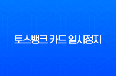 토스뱅크 카드 일시정지 및 해제 방법 1분 만에 따라하기 29