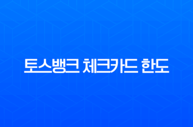 토스뱅크 체크카드 한도 증액 및 변경, 미성년자 특별 한도 완벽 정리 23