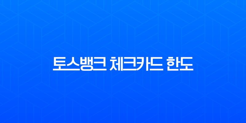 토스뱅크 체크카드 한도 증액 및 변경, 미성년자 특별 한도 완벽 정리 7