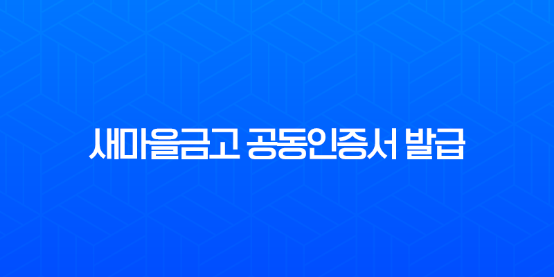 새마을금고 공동인증서 발급 완벽 가이드 (준비물, 방법, 재발급 총정리) 7