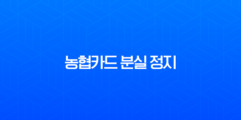 농협카드 분실 정지 신고 및 해제 완벽 가이드 (PC, 모바일, 전화) 7