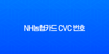 NH농협카드 CVC 번호 확인, 오류 해제 및 분실 시 대처법 총정리 3