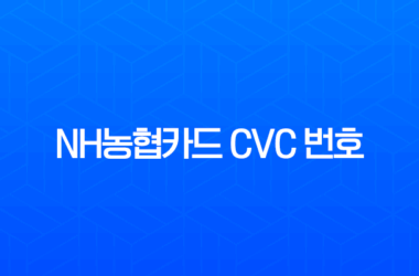 NH농협카드 CVC 번호 확인, 오류 해제 및 분실 시 대처법 총정리 21