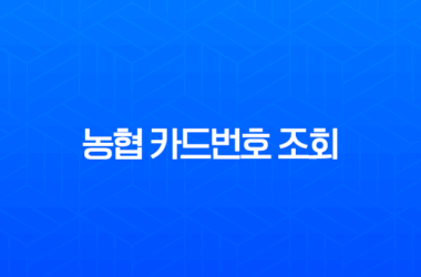 농협 카드번호 조회, 어플로 유효기간 확인하는 가장 빠른 방법 (NH Pay) 19