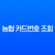 농협 카드번호 조회, 어플로 유효기간 확인하는 가장 빠른 방법 (NH Pay) 13