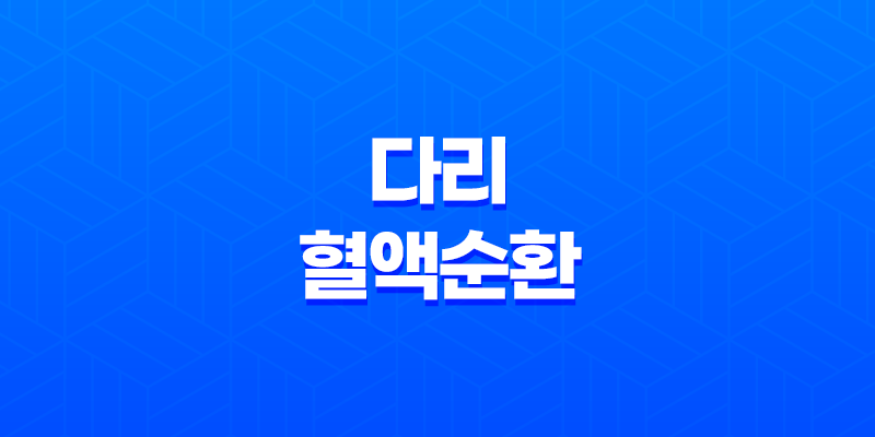 7가지 다리 혈액순환 개선방법 8 7가지 다리 혈액순환 개선방법 7