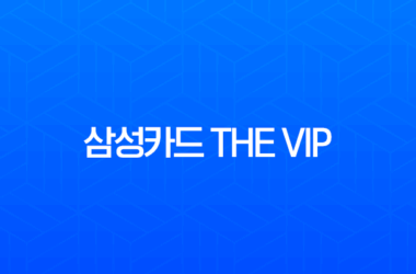 삼성카드 THE VIP 등급 조건 및 특별 혜택 완벽 분석 (MVG, VVIP) 25