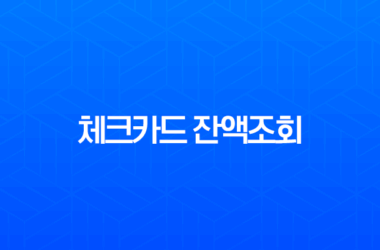 체크카드 잔액조회, 모든 계좌 간편하게 확인하는 방법 총정리 (Feat. 어카운트인포) 23