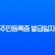 주민등록증 발급일자 확인, 분실했을 때 초간단 조회 방법 (정부24, 모바일) 11