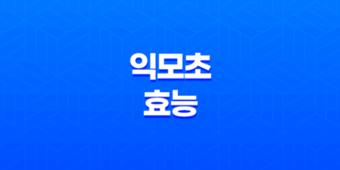 익모초(+ 여자에게 좋은 약초) 27