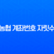 농협 계좌번호 자릿수 완벽 정리 (농협은행, 지역농협 형식 포함) 13