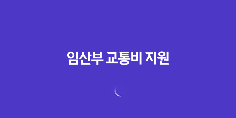 임산부 교통비 지원 제도 및 내용, 대상, 신청기간 8 임산부 교통비 지원 제도 및 내용, 대상, 신청기간 7