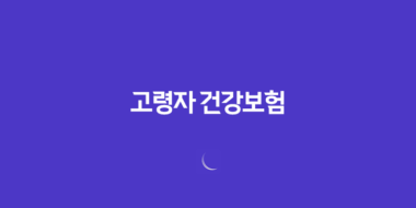 10가지 핵심 체크포인트 고령자 건강보험 맞춤 설계 가이드 20 10가지 핵심 체크포인트 고령자 건강보험 맞춤 설계 가이드 19