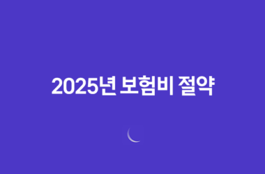 2025년 보험비 절약 가이드 - 보험 가입과 보험료 절감 노하우 25
