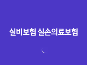 실비보험 실손의료보험 청구 비밀 공개! 보험금 받는 법과 유용한 정보(2023년) 23