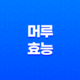 머루 효능과 부작용 35