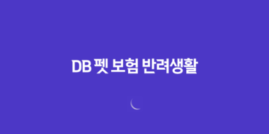 2025년 DB 펫 보험 반려생활 - DB 펫 보험의 모든 것 파헤치기 16 2025년 DB 펫 보험 반려생활 - DB 펫 보험의 모든 것 파헤치기 15