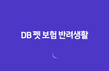 2025년 DB 펫 보험 반려생활 - DB 펫 보험의 모든 것 파헤치기 25