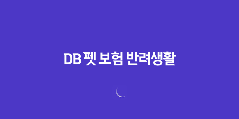 2025년 DB 펫 보험 반려생활 - DB 펫 보험의 모든 것 파헤치기 8 2025년 DB 펫 보험 반려생활 - DB 펫 보험의 모든 것 파헤치기 7