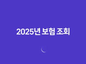 2025년 보험 조회 - 나에게 꼭 맞는 보험 찾기 & 숨은 보험금 확인 가이드 2025년 보험 조회 23