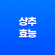 상추의 효능과 부작용을 알아보자! 37
