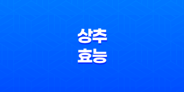상추의 효능과 부작용을 알아보자! 49