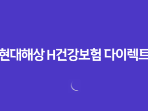 현대해상 H건강보험 다이렉트 가입방법과 보장내용 21